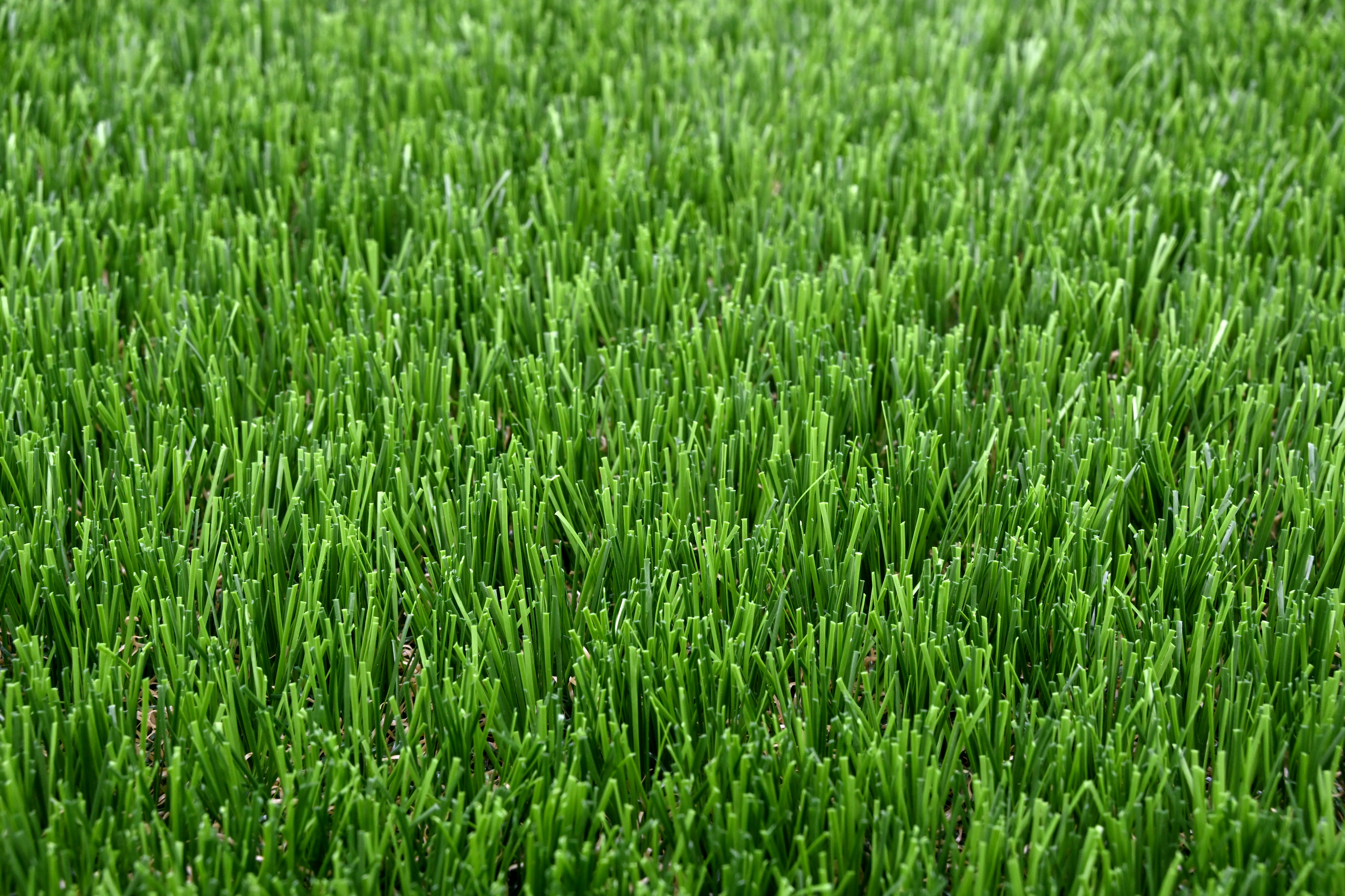 Vještačka trava debljina 40mm širina 2m Garland Grass