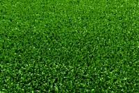 Vještačka trava debljina 10mm širina 2m Garland Grass