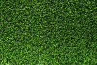 Vještačka trava debljina 20mm širina 2m Garland Grass