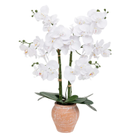 Dekor. cvijet-bijela orhideja 65cm u keramičkoj saksiji Atmosphera