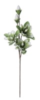 Ukrasni cvijet Magnolia X3F+2B h 95cm zeleni/smedji Bizzotto