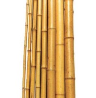 Bambus pritka 210cm fi 22-24mm Biacchi