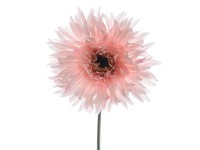 Svileni cvijet-gerber 54cm rozi