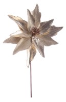 Dekor. cvijet-Božićna zvijezda fi 29x50cm boja šampanjca Bizzotto