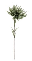 Ukrasni cvijet Hrizantema h 91cm zeleni/smedji Bizzotto