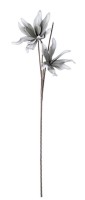 Ukrasni cvijet Hemerocallis X2F h 113cm sivo-bijeli Bizzotto