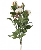 Dekor. cvijet-buket ruža Shakira 36cm bijeli DecoStar