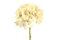 Dekorativni cvijet - hortenzija S 45cm bež/zeleni Countryfield